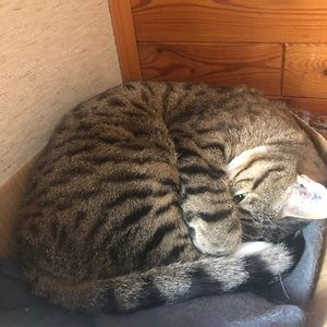 Meet your Posher, Carrie